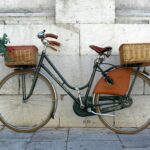 L’histoire du vélo : de la draisienne au vélo électrique, deux siècles d’innovation et de passion